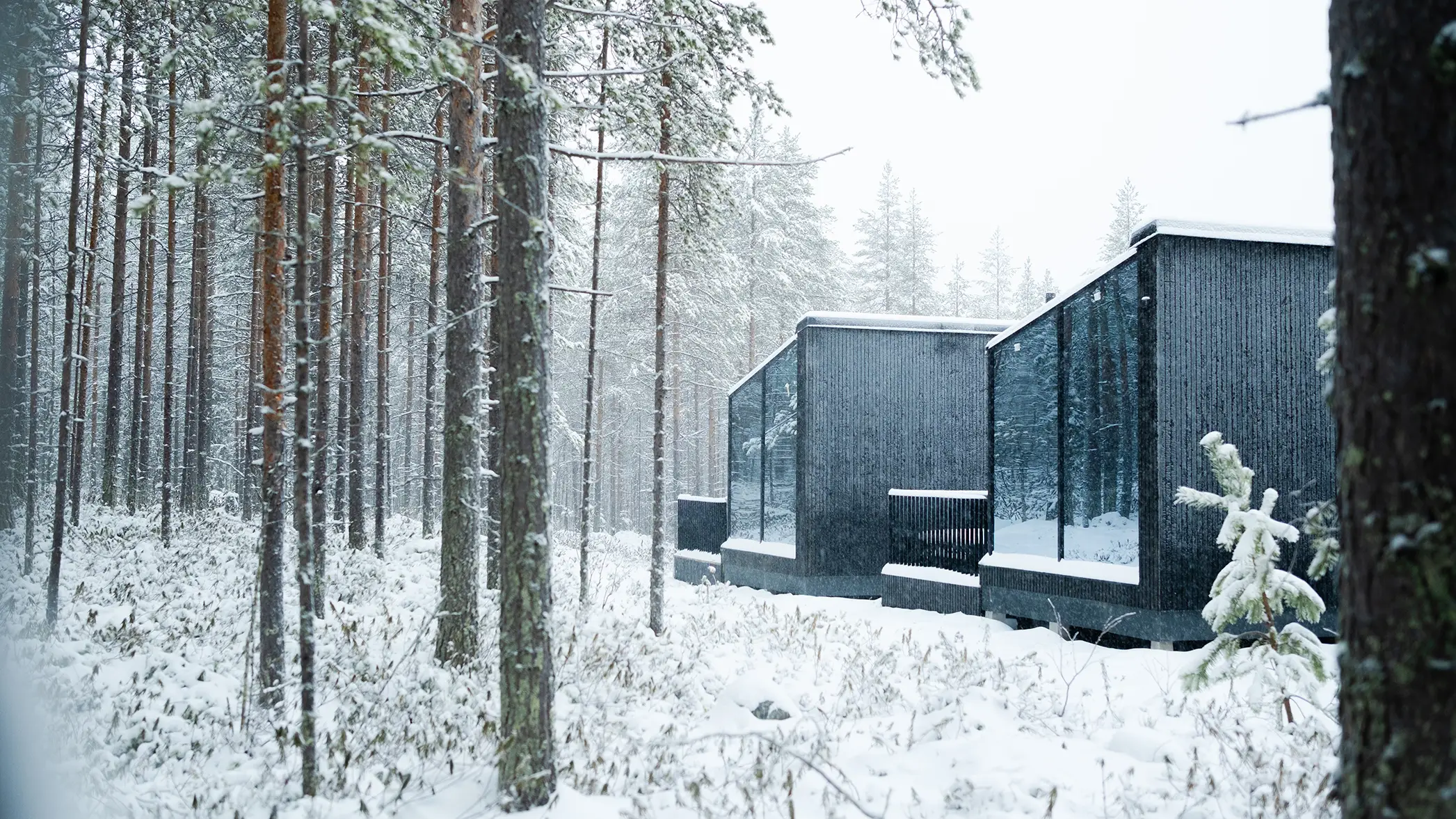 Hiilletty puu arkkitehtuurissa – Halo Igloos