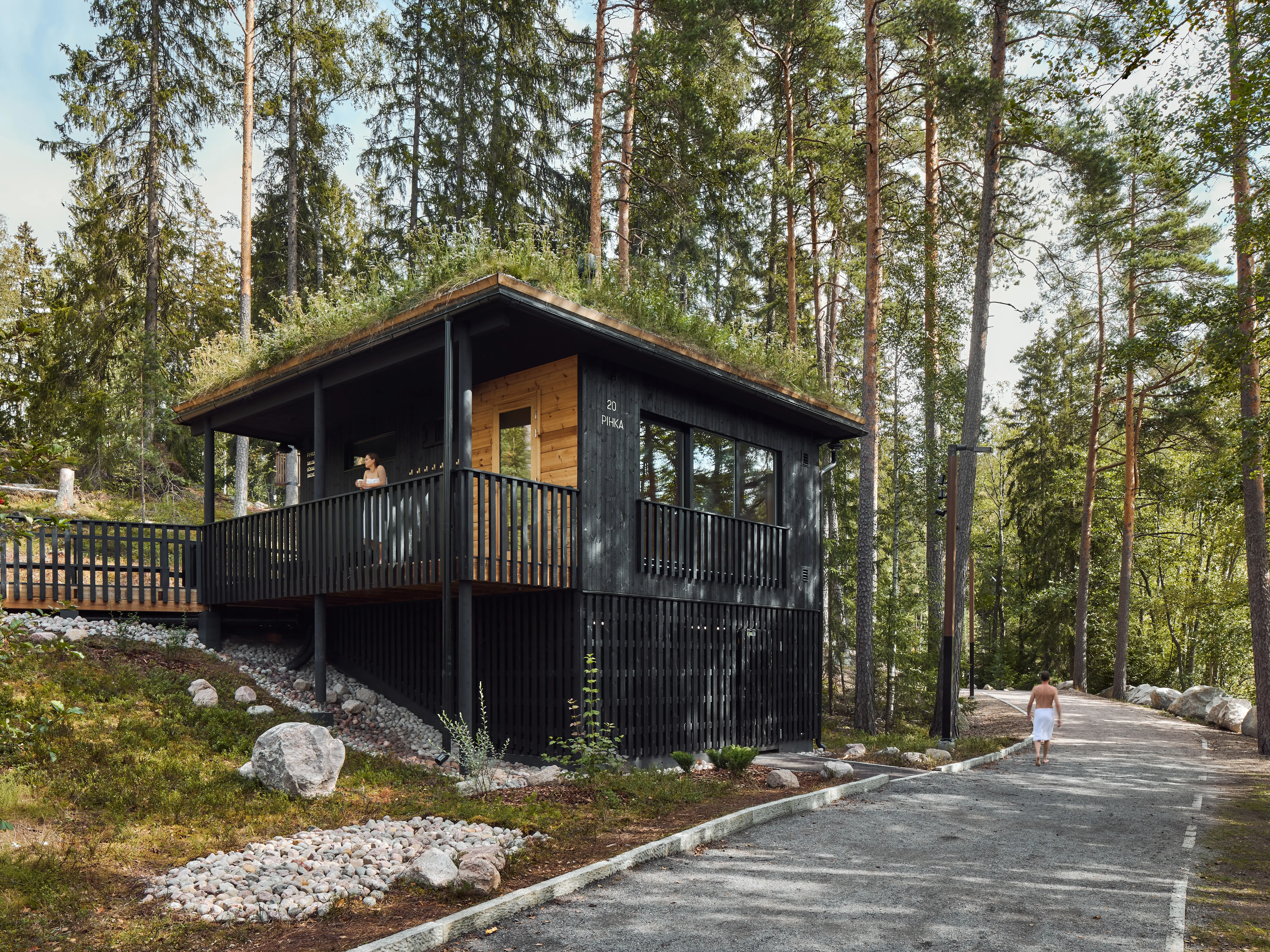 Hiilletty puu luonnossa – metsämökki hiilletyllä puuverhouksella ja vihreällä katolla