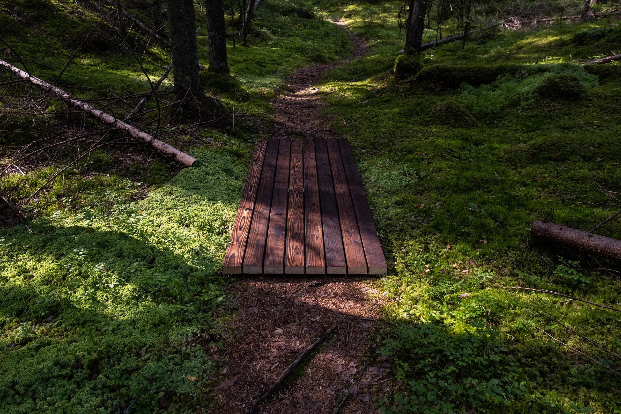 Kiertopuu® - puutavaran matka hukasta hyötykäyttöön