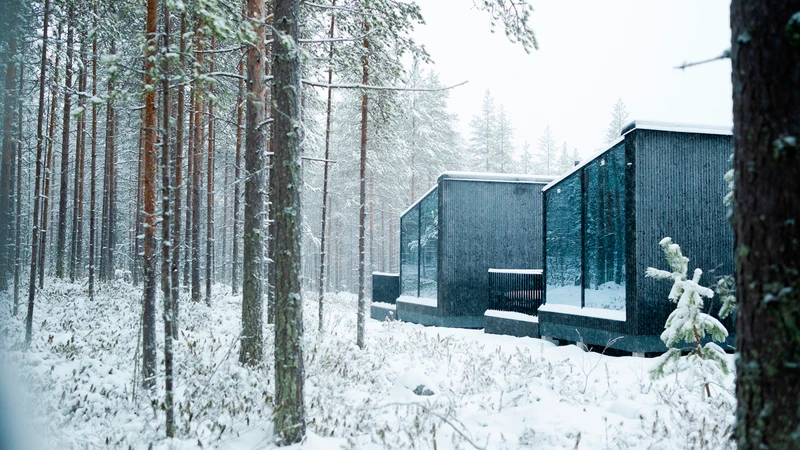 Halo Igloos Resort – Revontulia ja hiillettyä puuta