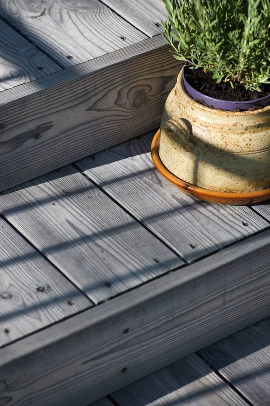 Beautifully greying charred terrace