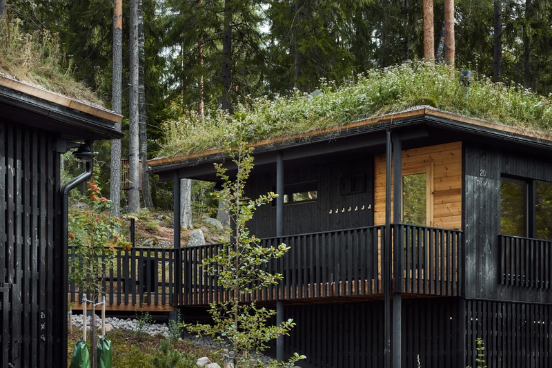 Kuusijärven saunojen ulkoverhoilu ja terassit hiilletystä puusta