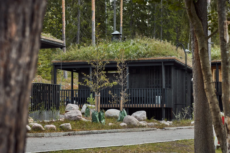 Kuusijärven saunojen ulkoverhoilu ja terassit hiilletystä puusta