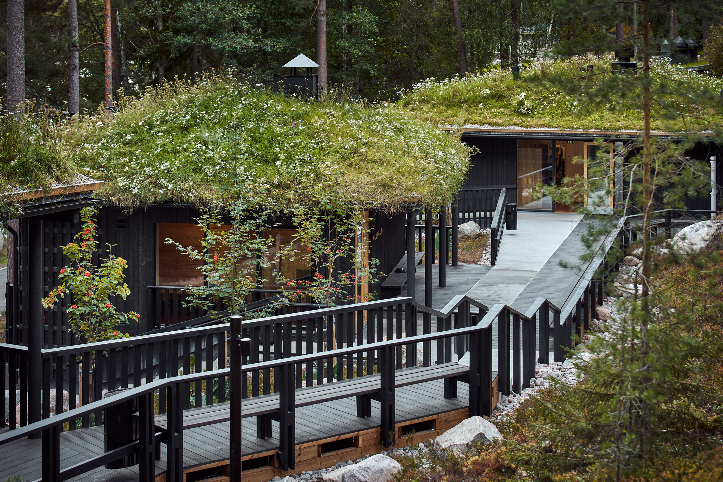 Charred wood decking – a guide to black, brown and grey deck boards