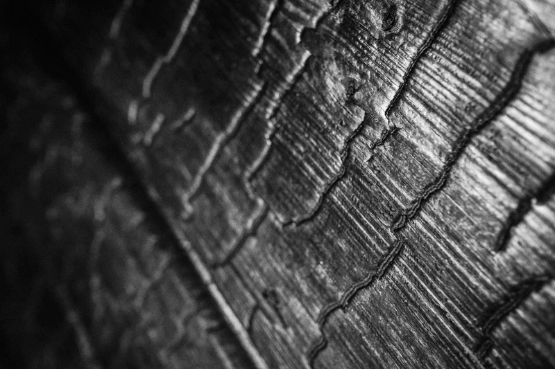 Saunalautta Hiisi – Hiilletyt seinät sisällä ja ulkona