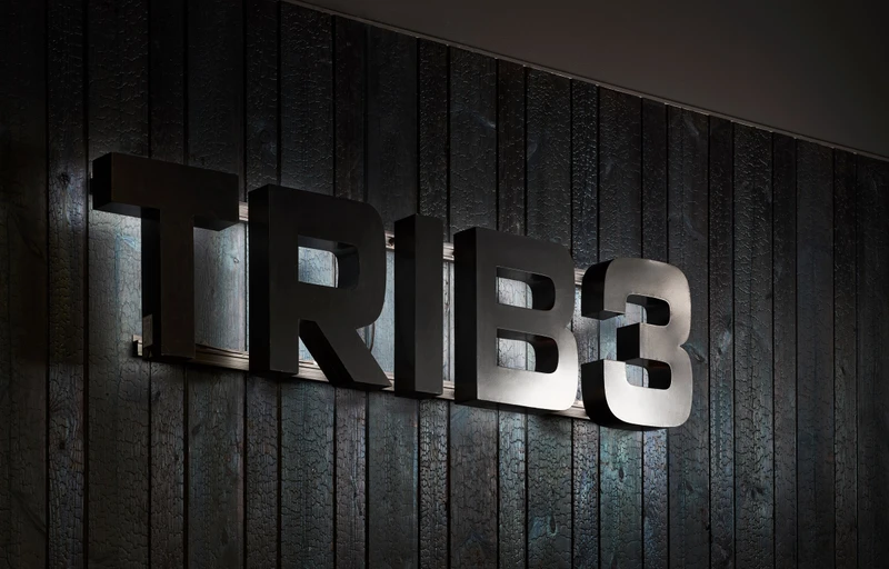 TRIB3 Helsinki Sture, hiilletty puu tunnelman rakentajana